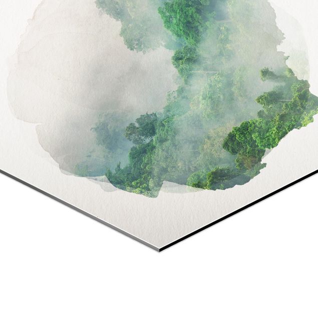 Modern art prints WaterColours - Jungle In The Mist