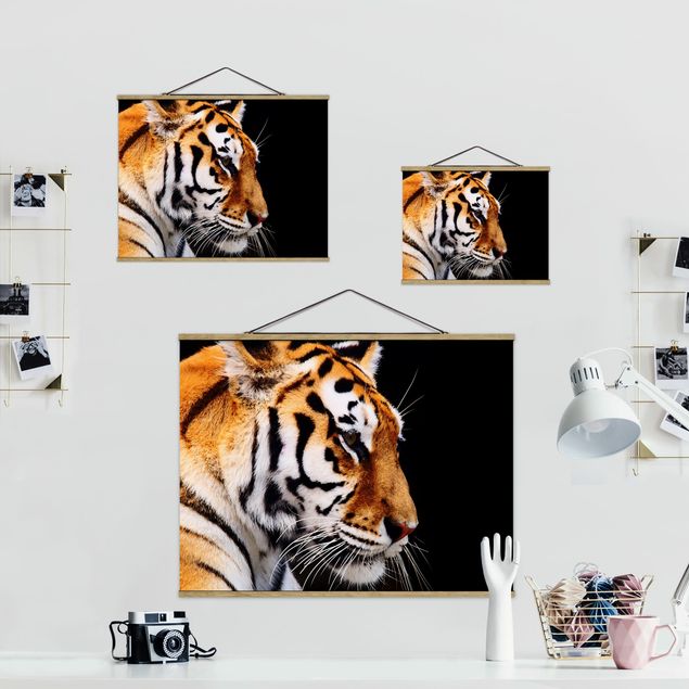 Prints Tiger Beauty