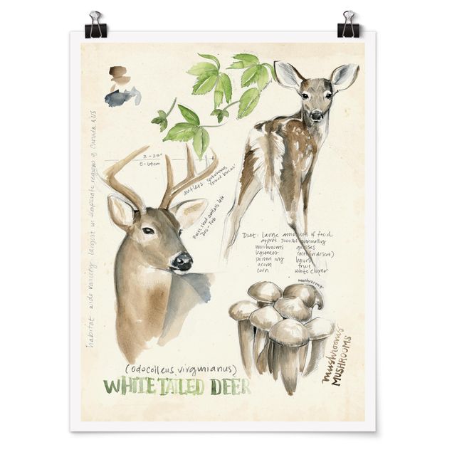 Framed quotes Wilderness Journal - Deer