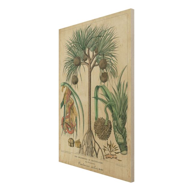 Wood prints landscape Vintage Board Exotic Palms I