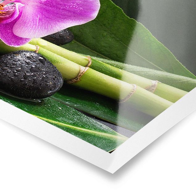 Prints floral Green Bamboo With Orchid Flower