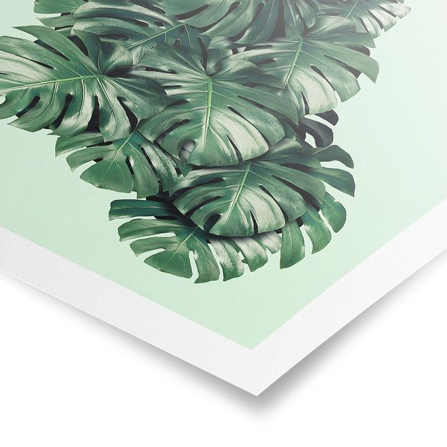 Green canvas wall art Peacock With Monstera Leaves