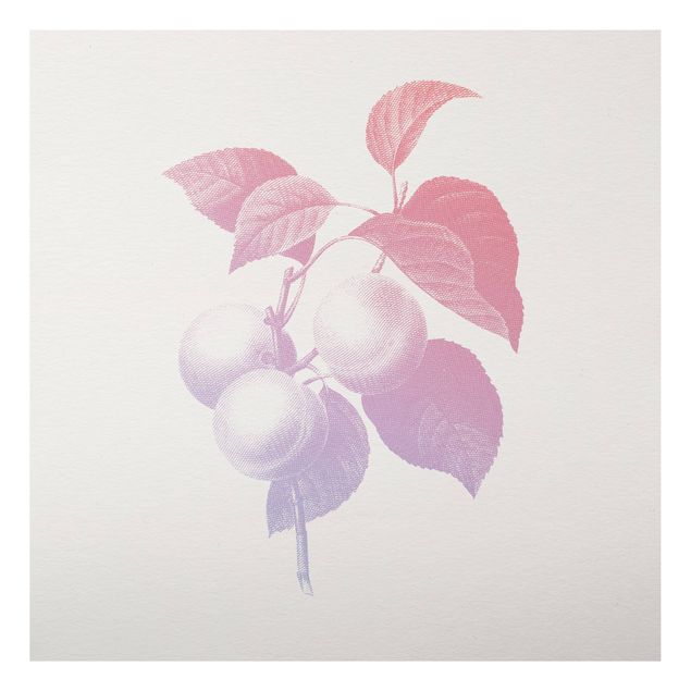 Prints vintage Modern Vintage Botanik Peach Light Pink Violet