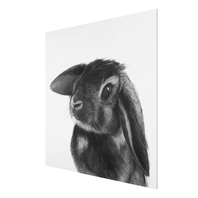 Prints animals Illustration Rabbit Black And White Drawing