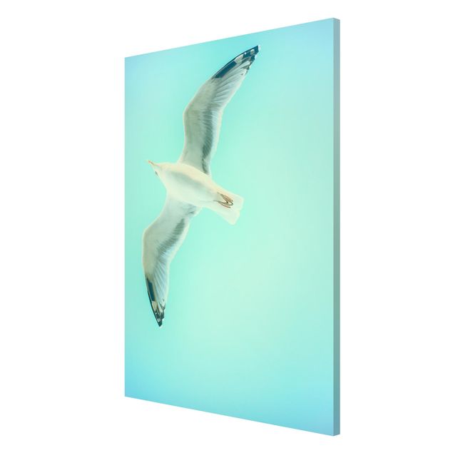 Canvas art Blue Sky With Seagull