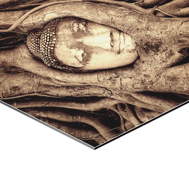 Prints Buddha In Ayutthaya Lined From Tree Roots In Brown