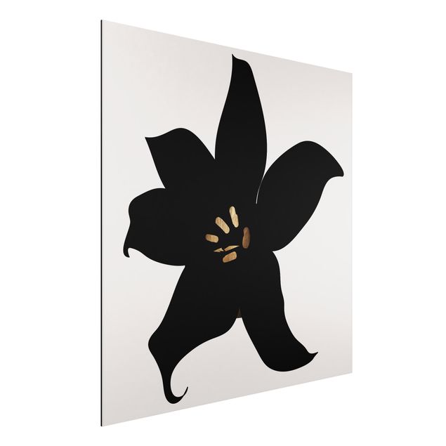 Kitchen Graphical Plant World - Orchid Black And Gold