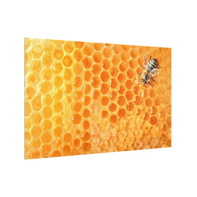 Glass splashback kitchen Honey Bee