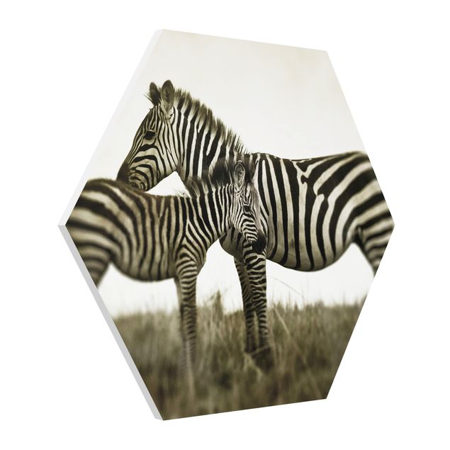 Prints modern Zebra Couple