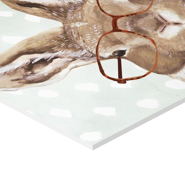 Hexagon photo prints Animals With Glasses - Rabbit