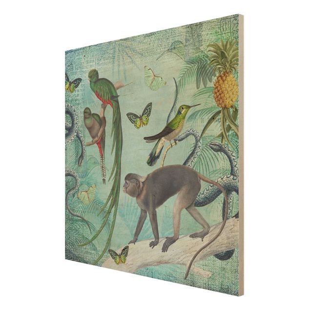 Andrea Haase Colonial Style Collage - Monkeys And Birds Of Paradise