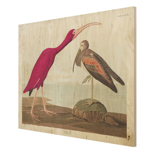 Wood prints beach Vintage Board Red Ibis