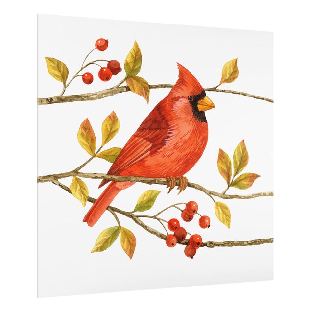 Glass splashback kitchen Birds And Berries - Northern Cardinal