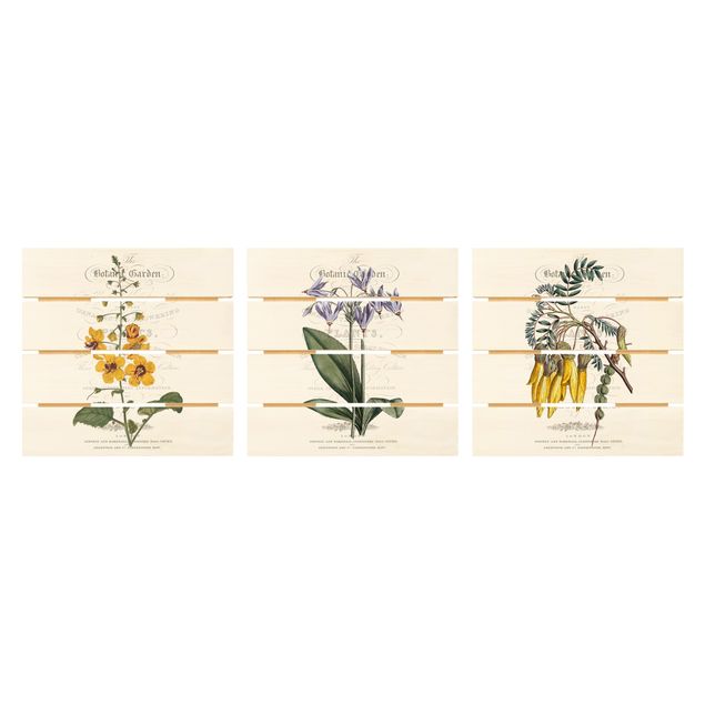 Prints Botanical Tableau Set I