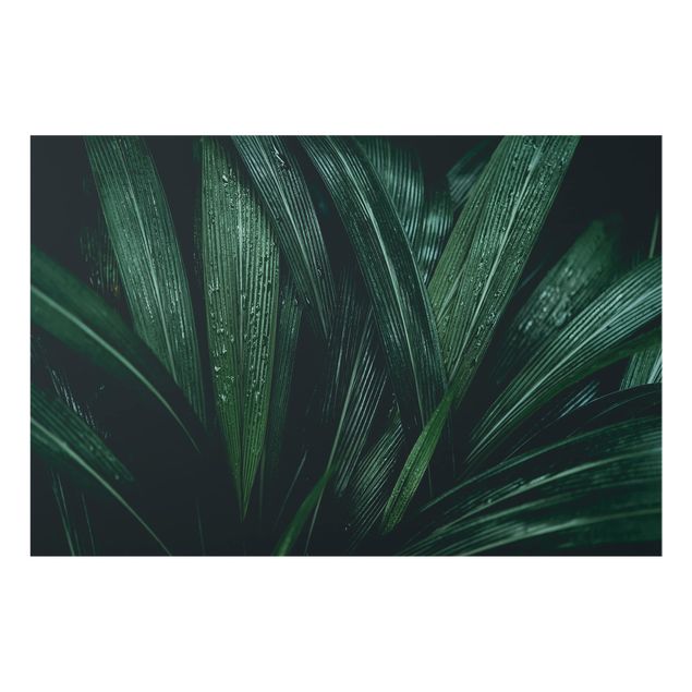 Glass Splashback - Green Palm Leaves - Landscape 2:3