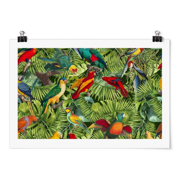 Art posters Colourful Collage - Parrots In The Jungle