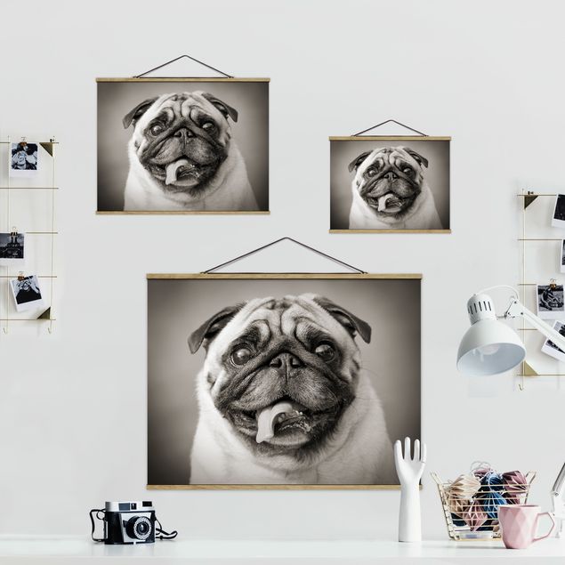 Black and white wall art Funny Pug