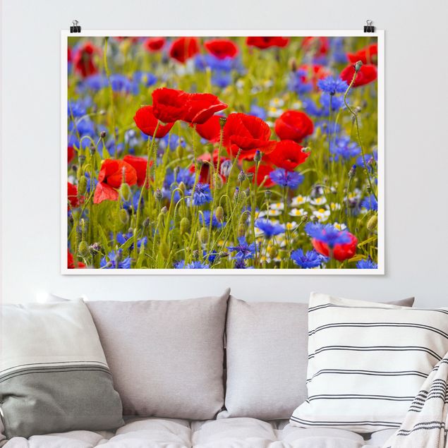 Kitchen Summer Meadow With Poppies And Cornflowers