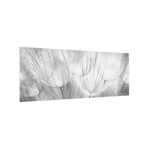 Glass splashbacks Dandelions Macro Shot In Black And White