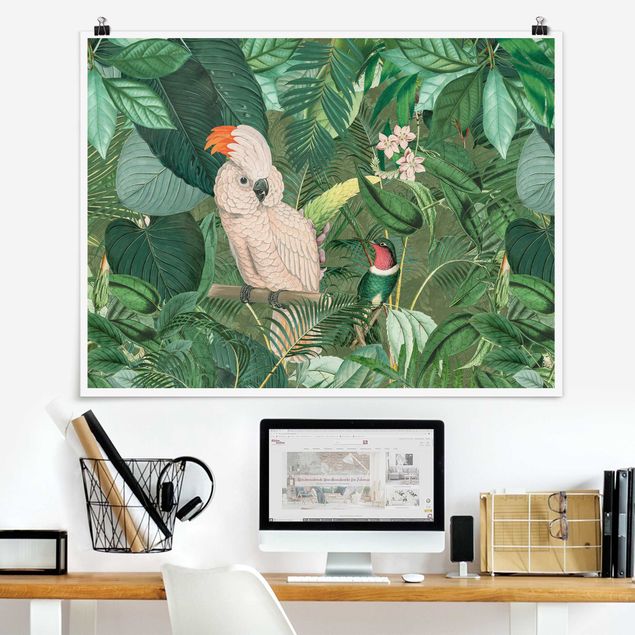 Kitchen Vintage Collage - Kakadu And Hummingbird