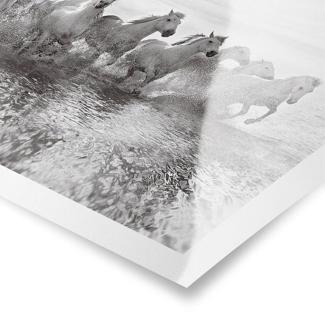 Prints animals White Horses In The Ocean