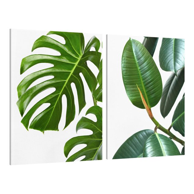 Prints modern Monstera And Rubber Tree