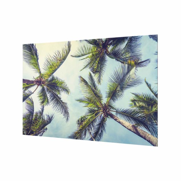Splashback - The Palm Trees - Landscape format 3:2