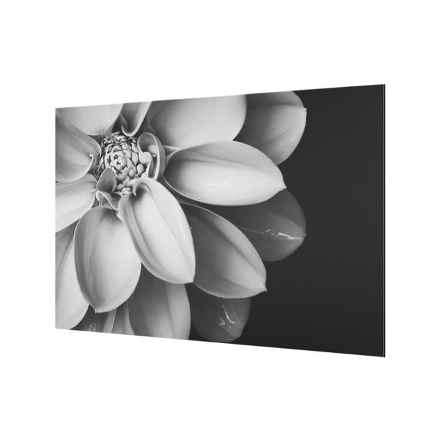Splashback - In The Heart Of A Dahlia Black And White - Landscape format 3:2