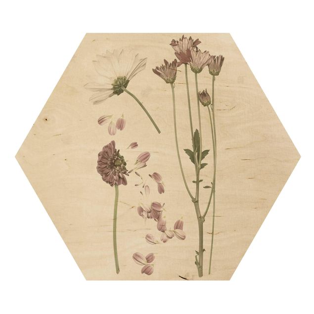 Prints on wood Herbarium In Pink II