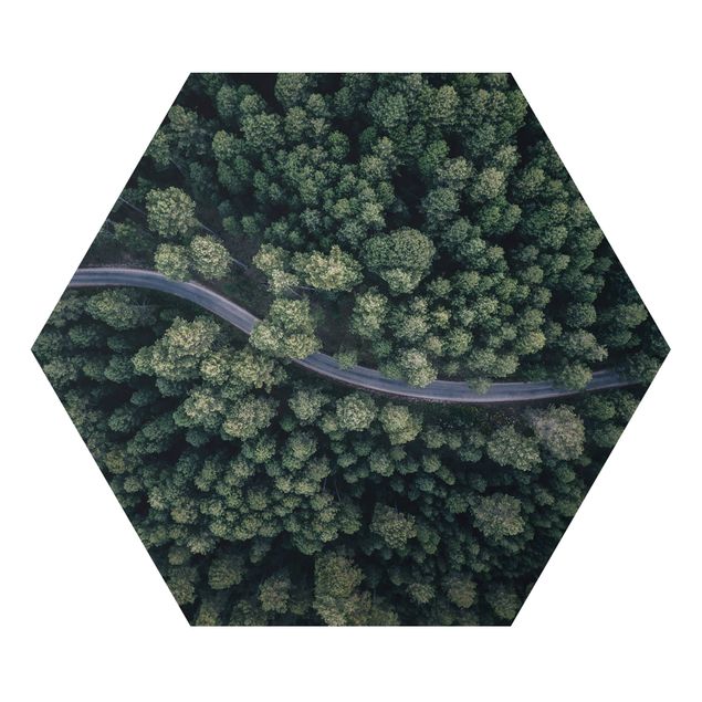 Nature wall art Aerial View - Forest Road From The Top