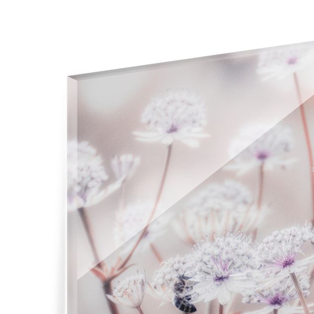 Splashback - Wild Flowers Light As A Feather - Square 1:1