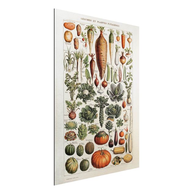 Kitchen Vintage Board Vegetables