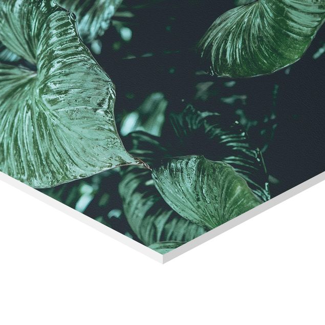 Prints green Tropical Plants