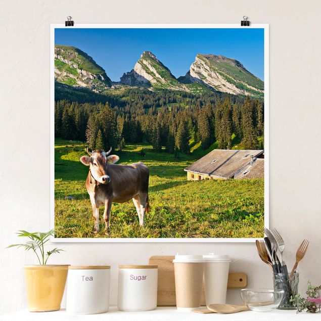 Prints landscape Swiss Alpine Meadow With Cow