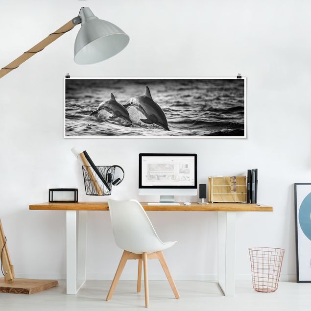 Animal wall art Two Jumping Dolphins