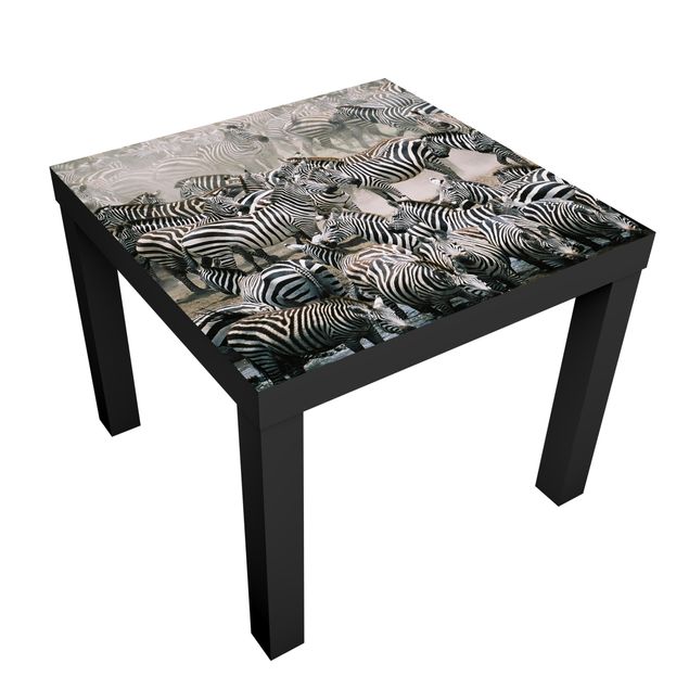 Self adhesive furniture covering Zebra Herd