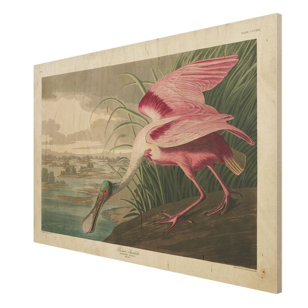 Vintage wood prints Vintage Board Pink Sturgeon