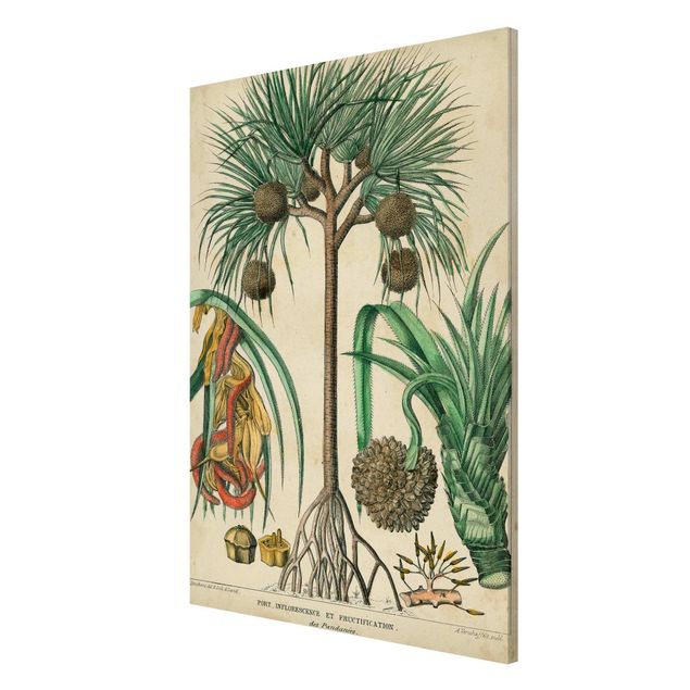 Magnet boards flower Vintage Board Exotic Palms I