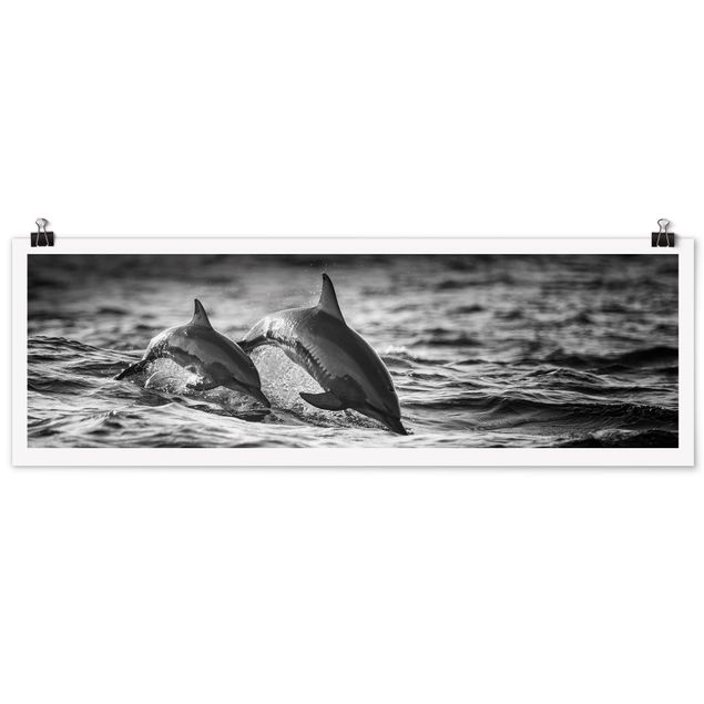 Black and white poster prints Two Jumping Dolphins