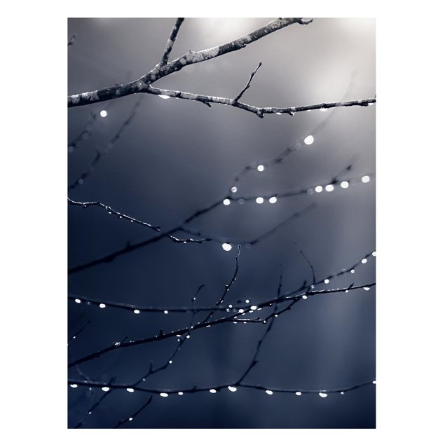 Landscape canvas prints Drops Of Light On A Branch Of A Birch Tree