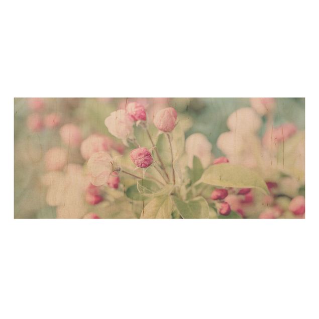 Wood prints flower Apple Blossom Bokeh Light Pink