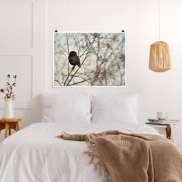 Prints modern Owl In The Winter