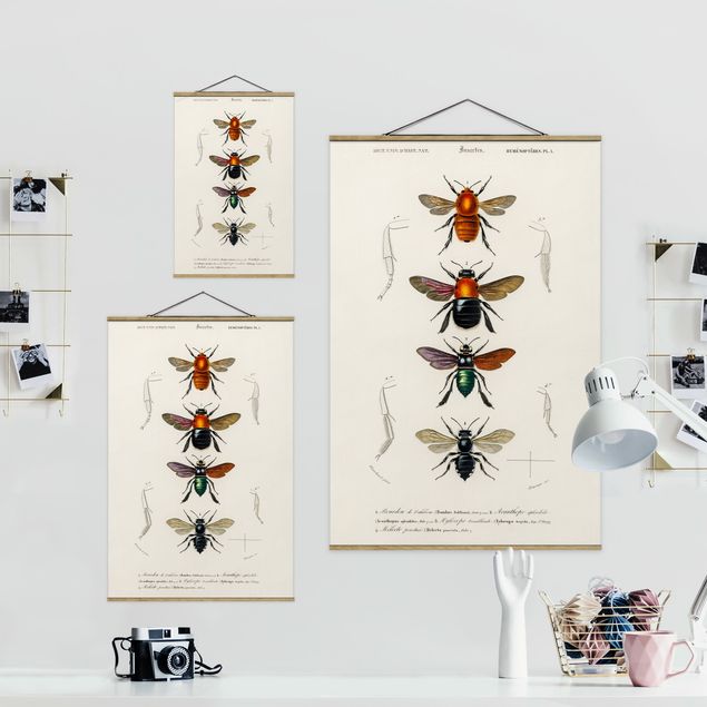Prints Vintage Board Insects