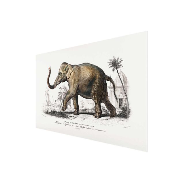 Vintage wall art Vintage Board Elephant