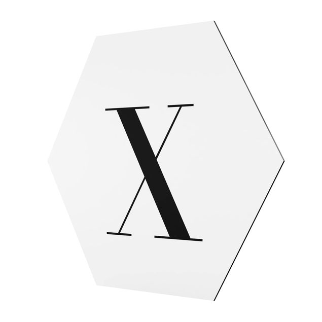 Hexagonal prints Letter Serif White X