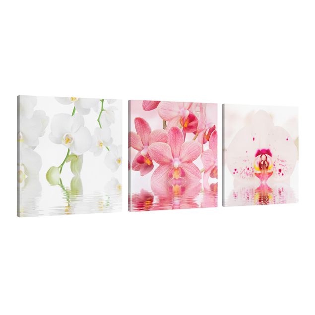 Floral canvas Orchids On Water
