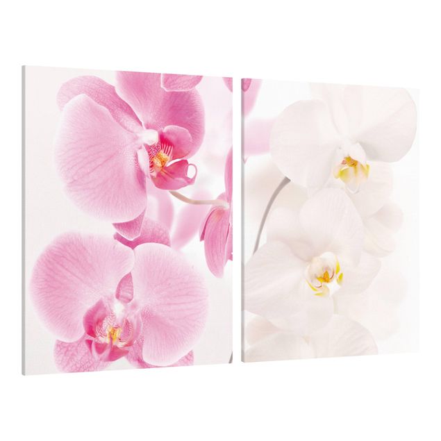 Orchid canvas wall art Delicate Orchids