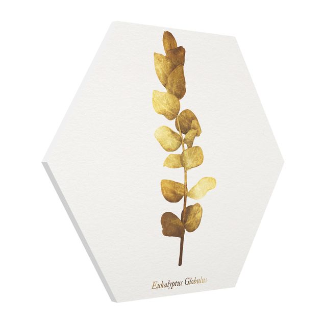 Floral picture Gold - Eucalyptus
