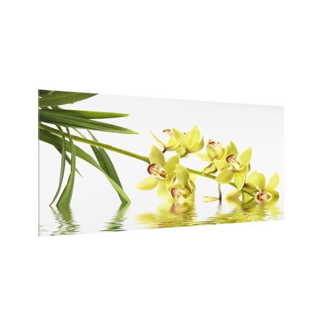 Glass splashback Elegant Orchid Waters