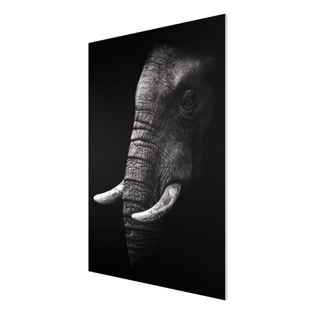 Landscape wall art Dark Elephant Portrait